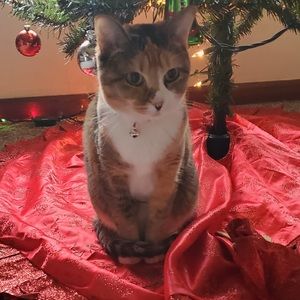 Meet your Posher, Tina